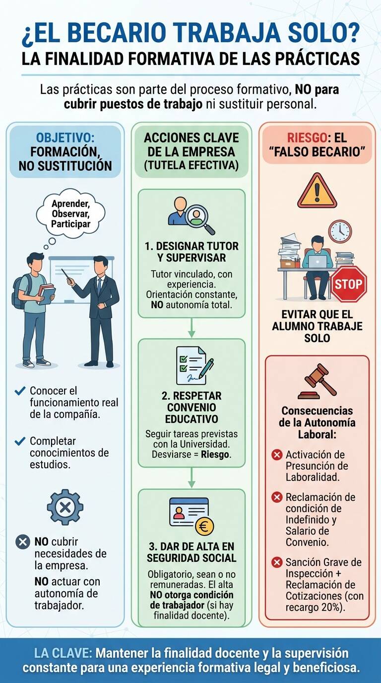 ¿El becario trabaja solo? (Infografía)
